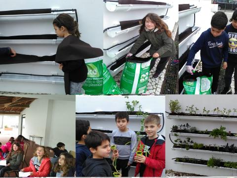 Com a ajuda de um elemento da comunidade educativa, preparamos a horta, transplantamos as nossas plantas e plantamos mais algumas que ficamos a conhecer melhor!